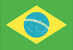 BrazilFlag