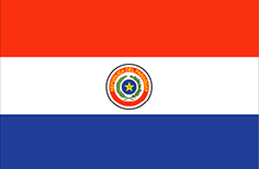 ParaguayFlag