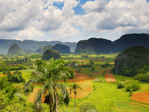 Cuba Vinales Tobacco Farmer2