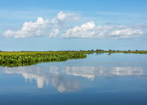 Llanos - Venezuela 2